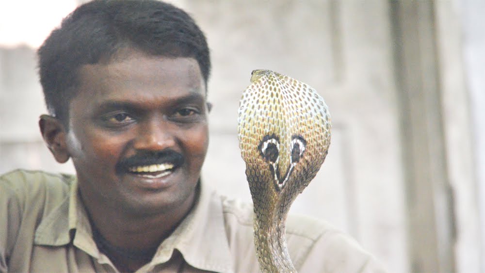 vava_suresh