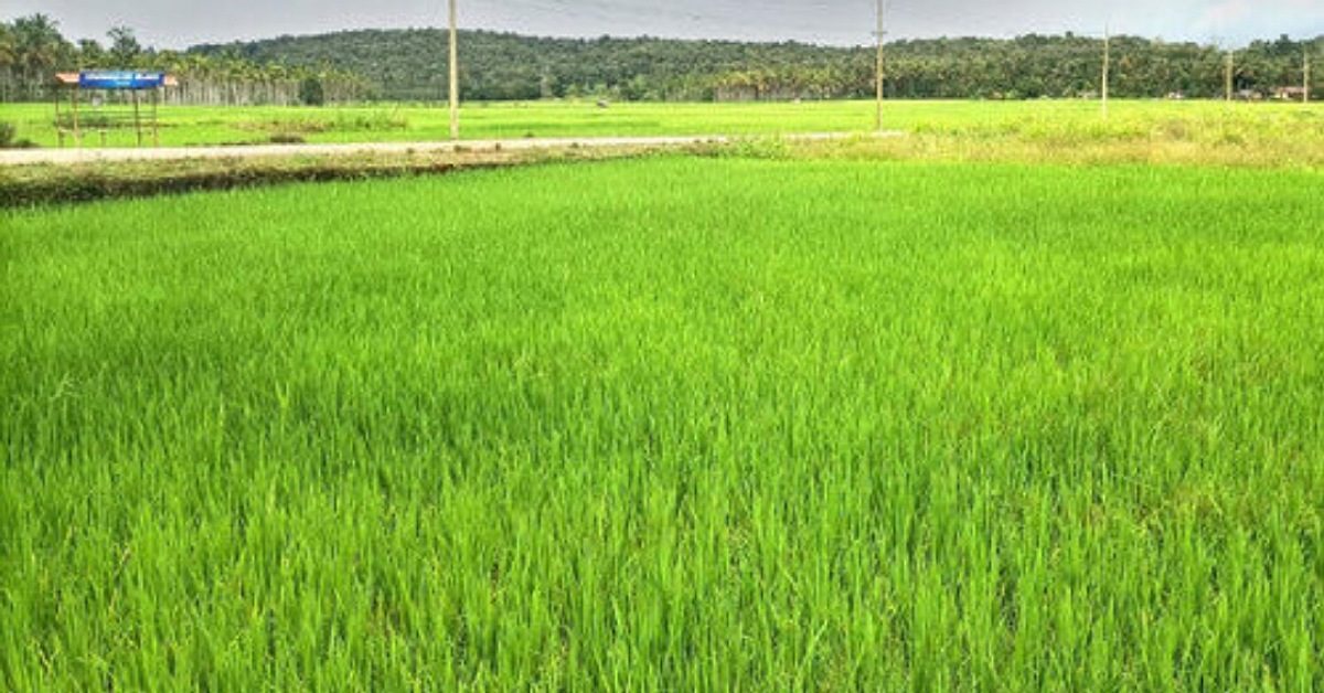 IMG_20230114_210810_(1200_x_628_pixel)