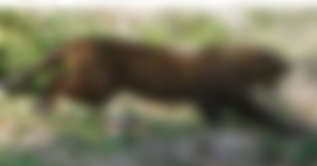 IMG_20230115_143814_(1200_x_628_pixel)