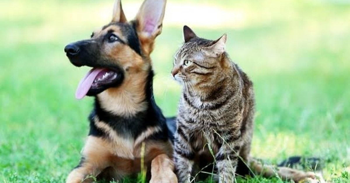 IMG_20230117_102231_(1200_x_628_pixel) IMG_20230117_102231_(1200_x_628_pixel)