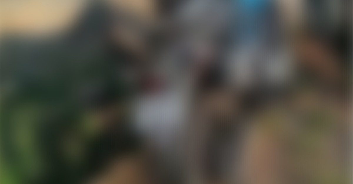 IMG_20230217_210029_(1200_x_628_pixel)