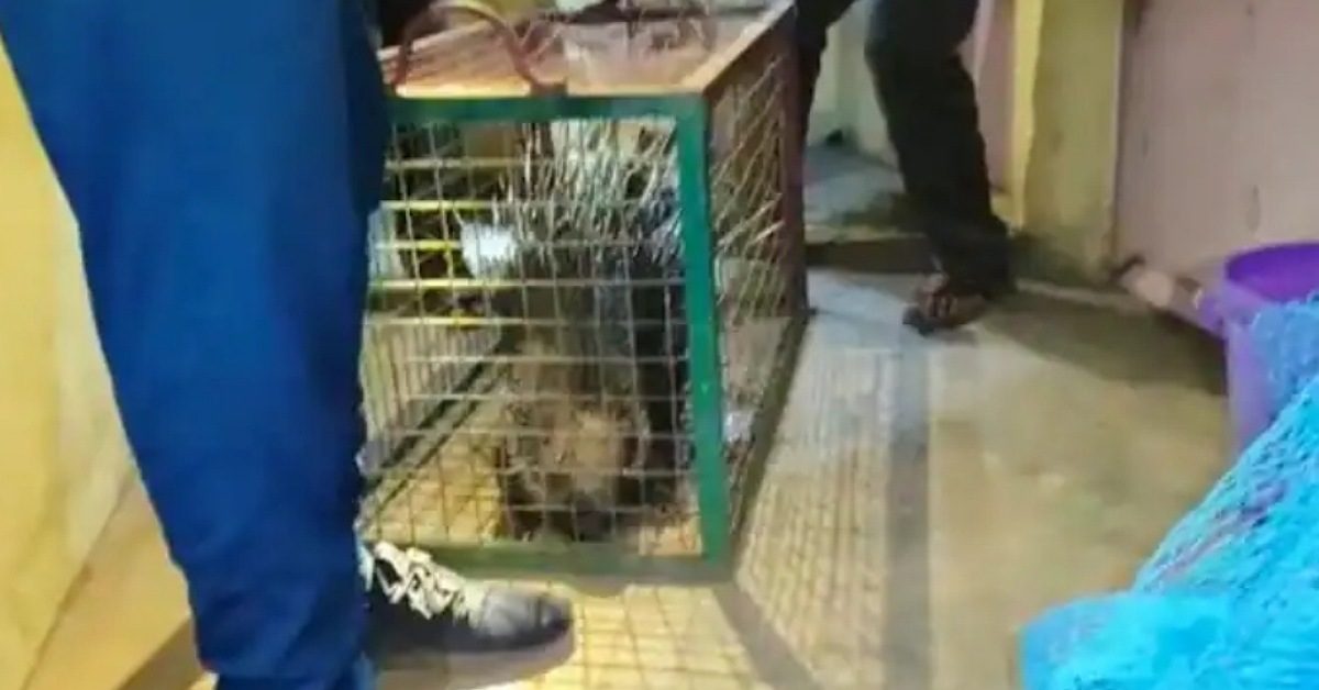 IMG_20230317_092615_(1200_x_628_pixel)