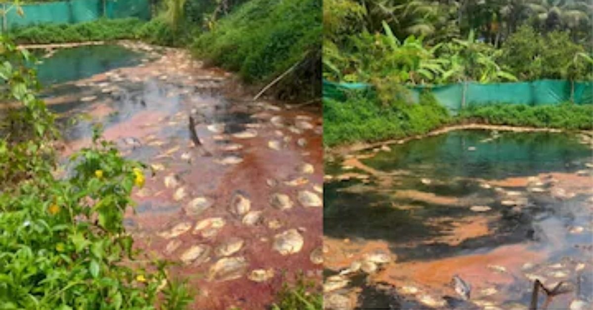 IMG_20230404_110716_(1200_x_628_pixel)