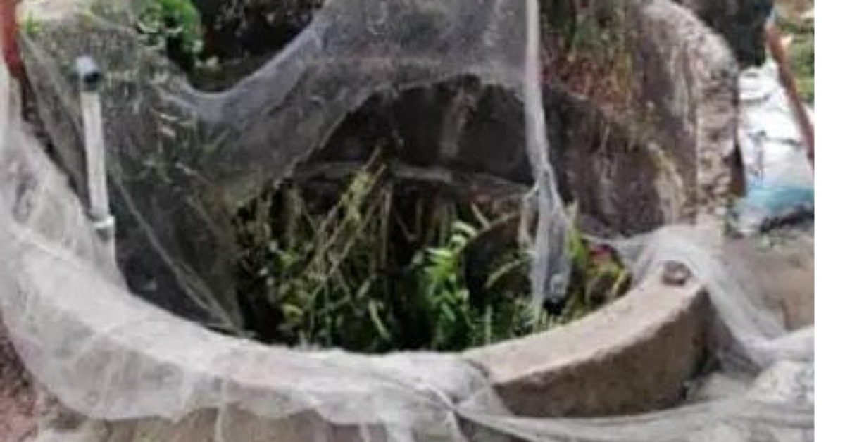 IMG_20230405_101505_(1200_x_628_pixel)