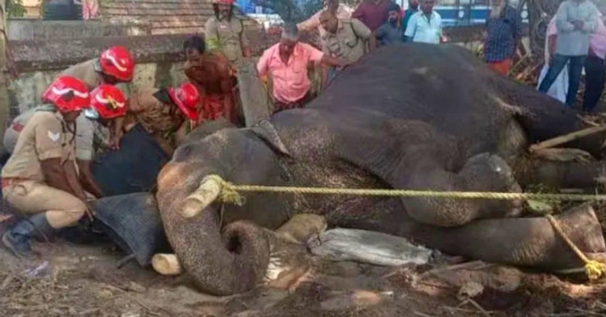 IMG_20230411_174441_(1200_x_628_pixel) IMG_20230411_174441_(1200_x_628_pixel)