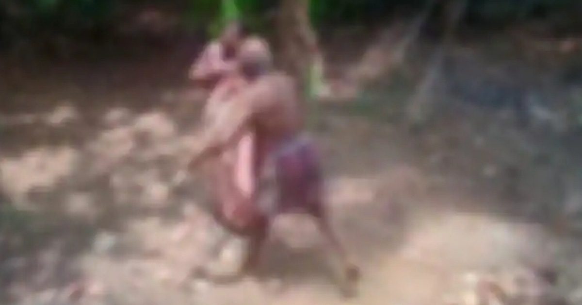 IMG_20230414_144733_(1200_x_628_pixel)