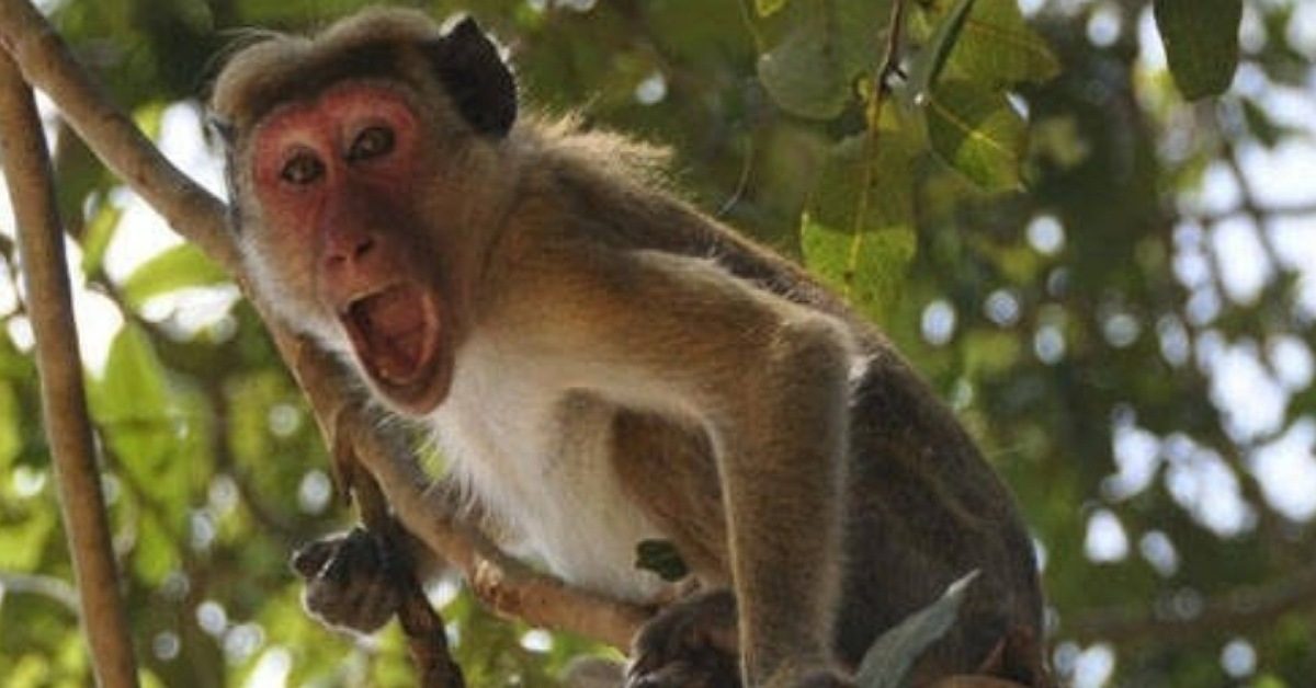 IMG_20230530_102936_(1200_x_628_pixel)