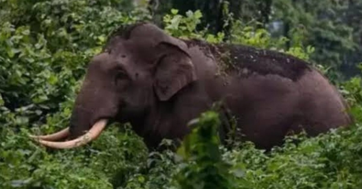 IMG_20230613_150616_(1200_x_628_pixel) IMG_20230613_150616_(1200_x_628_pixel)