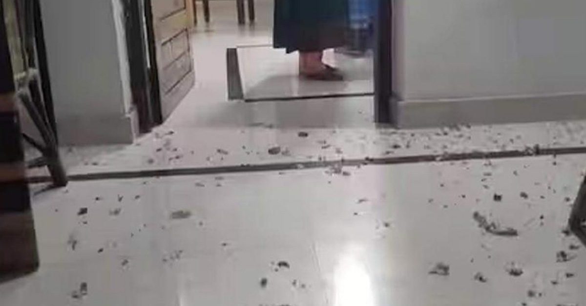 IMG_20231031_151701_(1200_x_628_pixel)