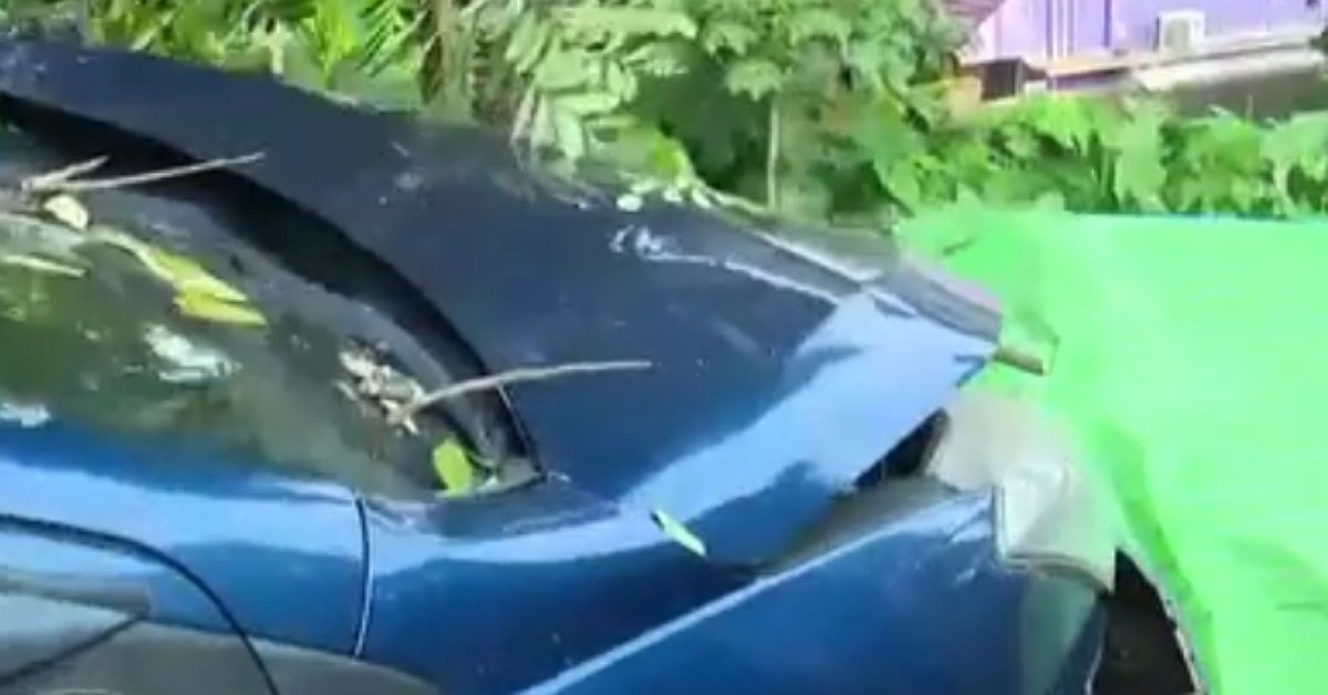 IMG_20231204_100305_(1200_x_628_pixel) IMG_20231204_100305_(1200_x_628_pixel)