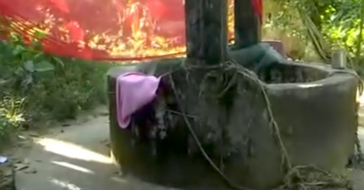 IMG_20231227_102312_(1200_x_628_pixel) IMG_20231227_102312_(1200_x_628_pixel)