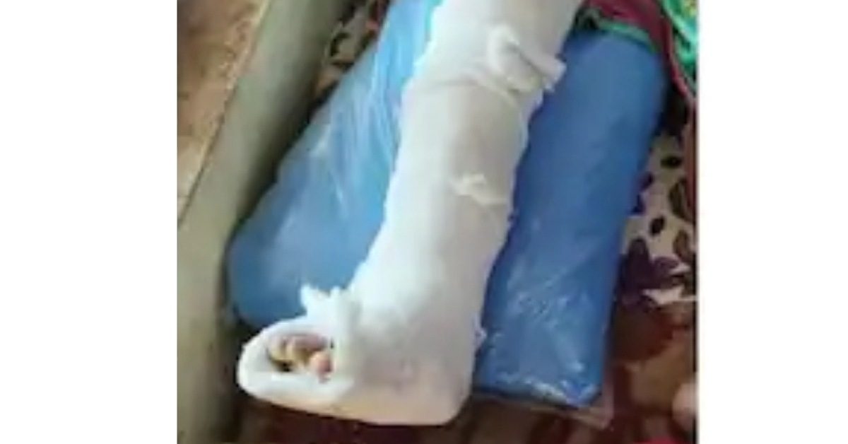 IMG_20240117_233158_(1200_x_628_pixel)