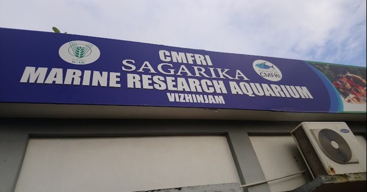 IMG_20240202_110241_(1200_x_628_pixel)