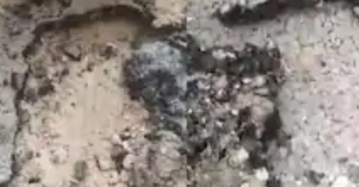 IMG_20240207_233633_(1200_x_628_pixel)