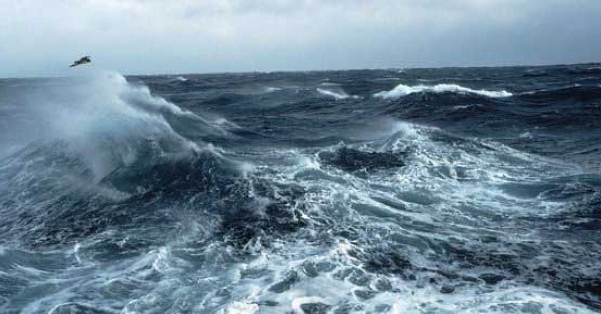 IMG_20240211_121426_(1200_x_628_pixel) IMG_20240211_121426_(1200_x_628_pixel)