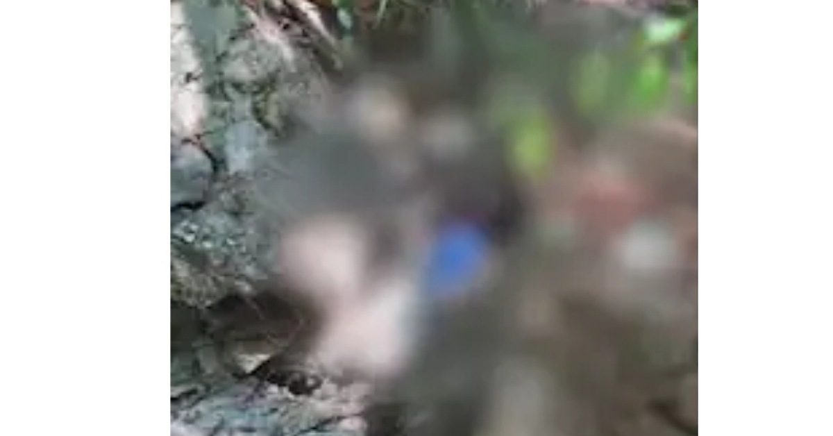 IMG_20240214_155815_(1200_x_628_pixel) IMG_20240214_155815_(1200_x_628_pixel)