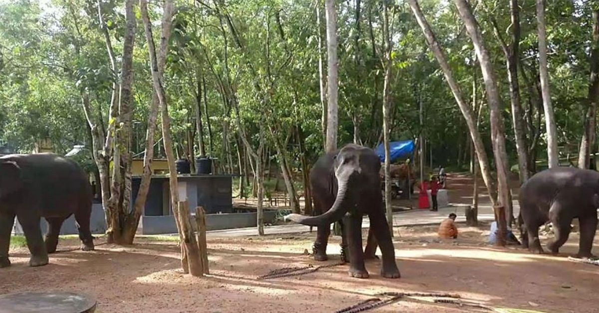 IMG_20240320_233949_(1200_x_628_pixel)