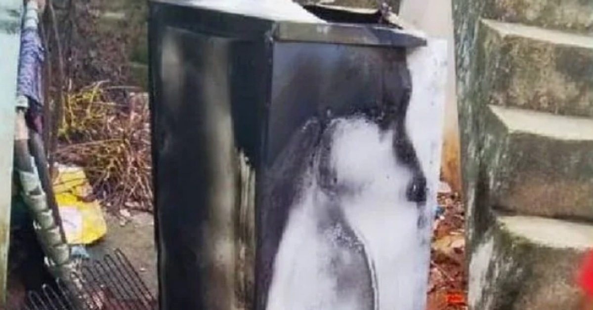 IMG_20240601_104539_(1200_x_628_pixel)