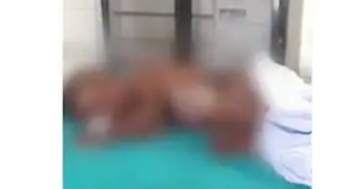 IMG_20240628_225652_(1200_x_628_pixel) IMG_20240628_225652_(1200_x_628_pixel)