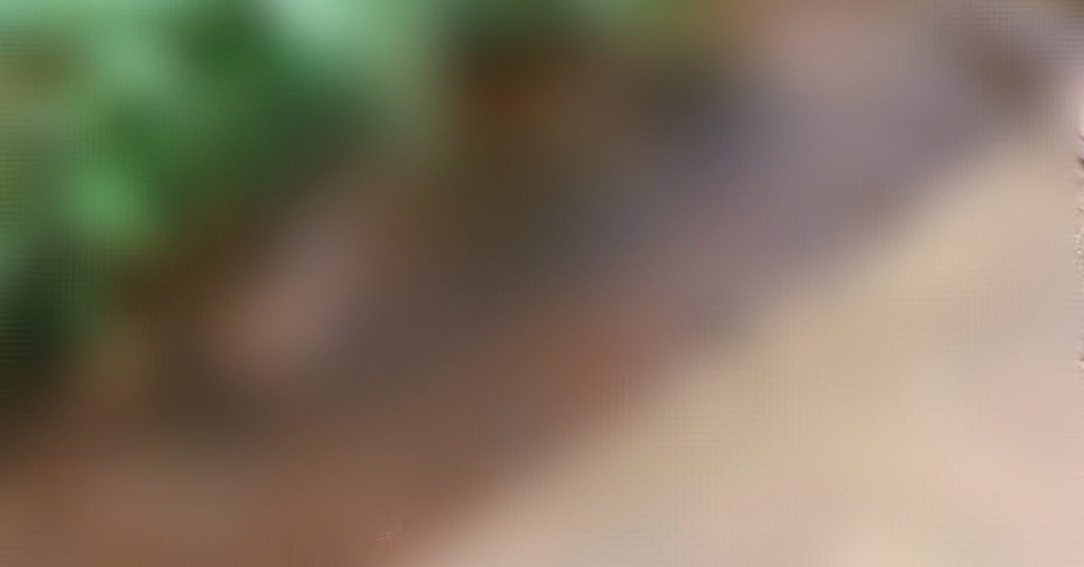 IMG_20240709_225619_(1200_x_628_pixel) IMG_20240709_225619_(1200_x_628_pixel)