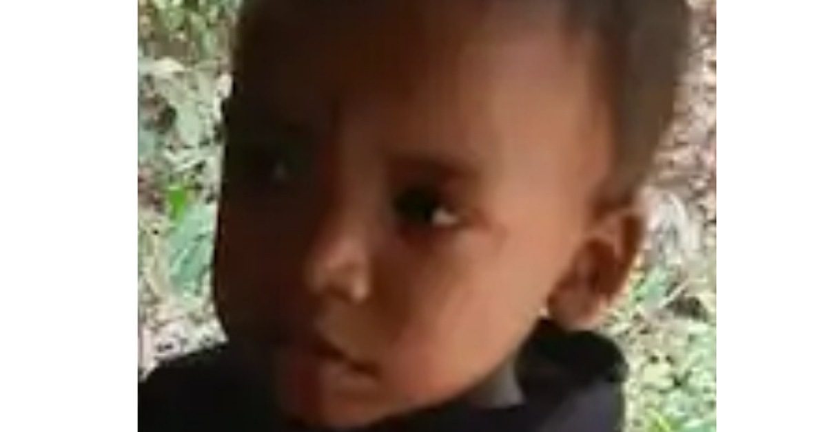 IMG_20240717_225240_(1200_x_628_pixel) IMG_20240717_225240_(1200_x_628_pixel)