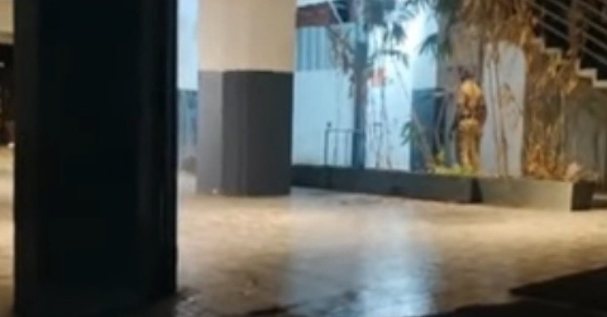 IMG_20240812_095502_(1200_x_628_pixel)