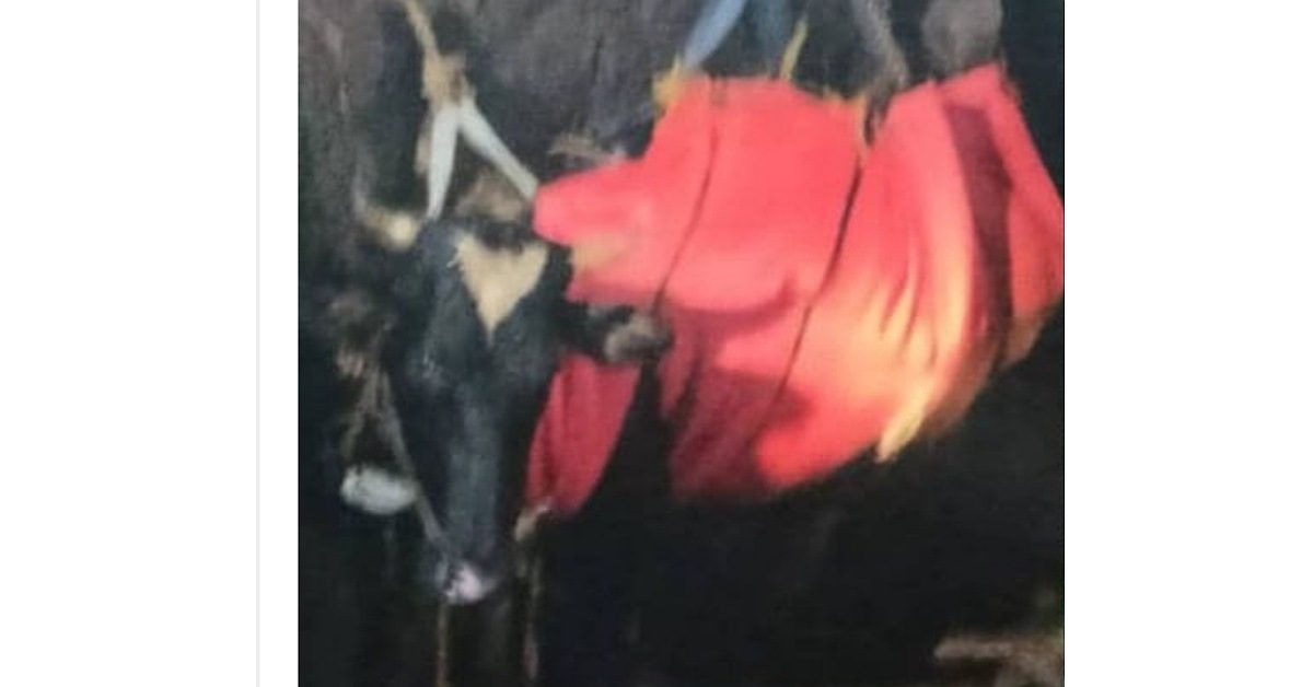 IMG_20240930_232627_(1200_x_628_pixel)