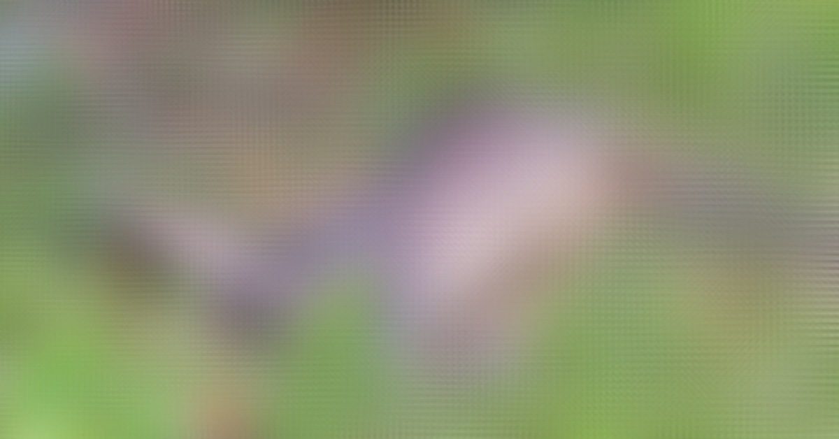 IMG_20250818_154140_(1200_x_628_pixel)