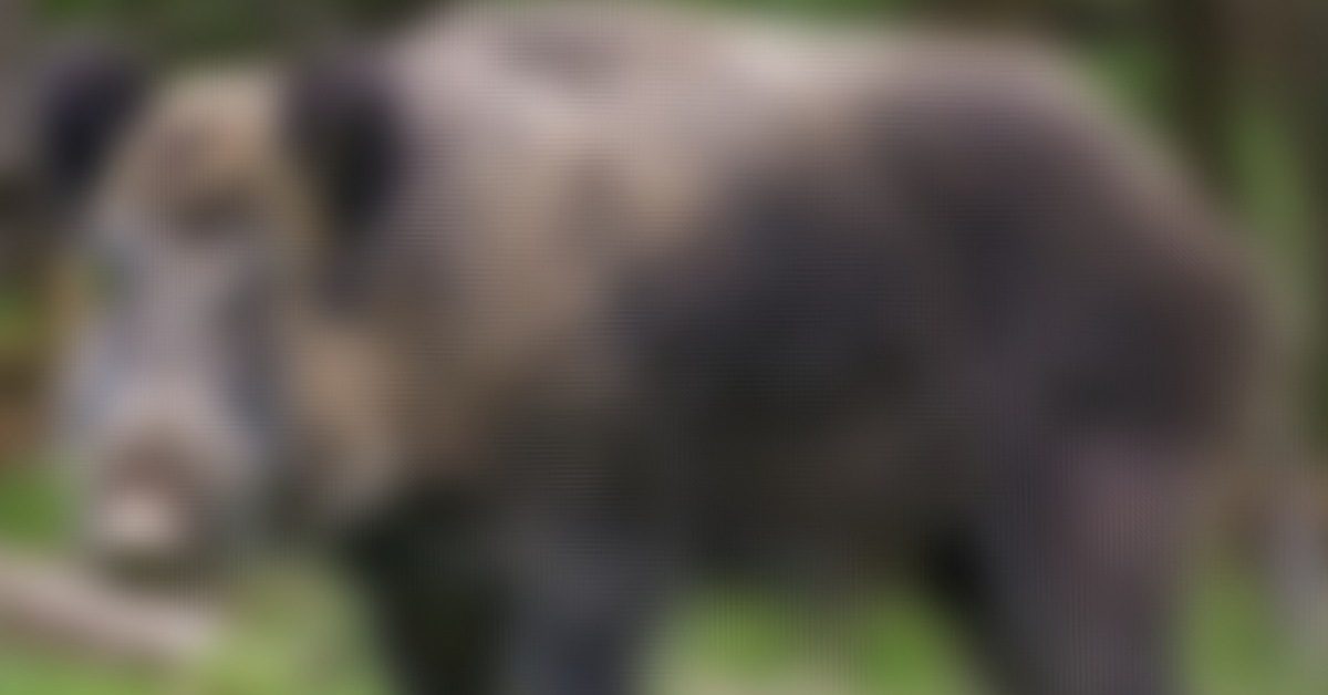 IMG_20250927_193627_(1200_x_628_pixel)