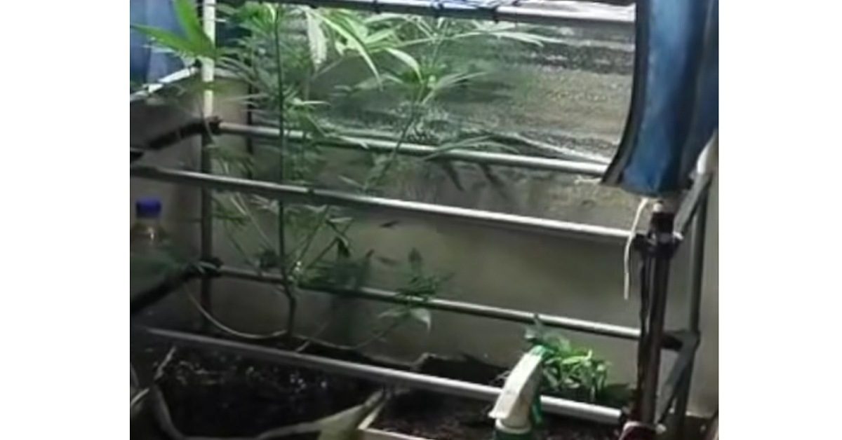 IMG_20251225_131701_(1200_x_628_pixel)