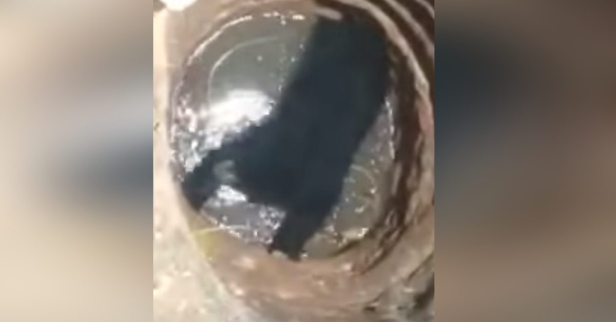 eiNOQP765564 eiNOQP765564